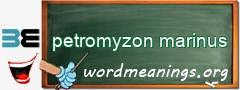 WordMeaning blackboard for petromyzon marinus